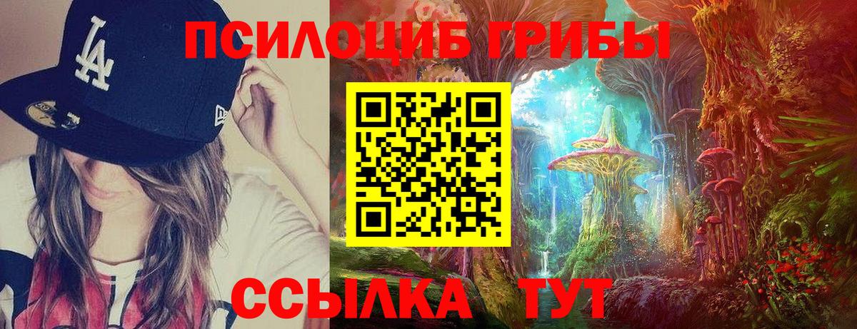 Галлюциногенные грибы прущие грибы Егорьевск