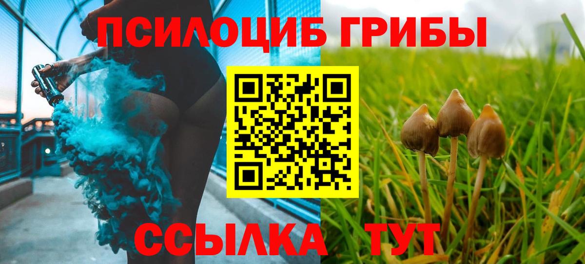 Галлюциногенные грибы Cubensis  Вход с VPN  Егорьевск 